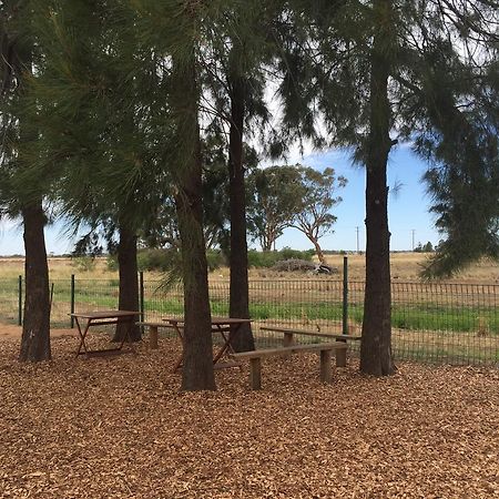 Aussie Cabins Hotel Dubbo Buitenkant foto