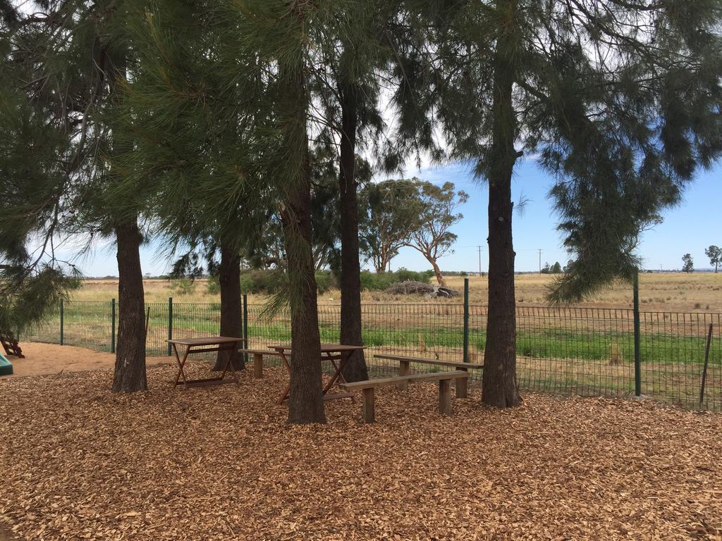 Aussie Cabins Hotel Dubbo Buitenkant foto