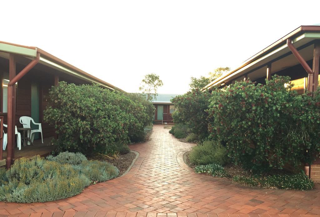 Aussie Cabins Hotel Dubbo Buitenkant foto