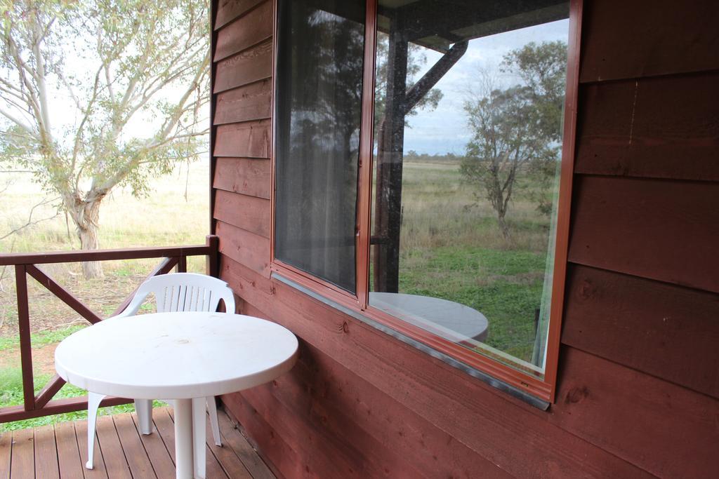 Aussie Cabins Hotel Dubbo Kamer foto